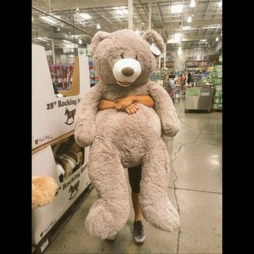 Teddy Bear Big Size