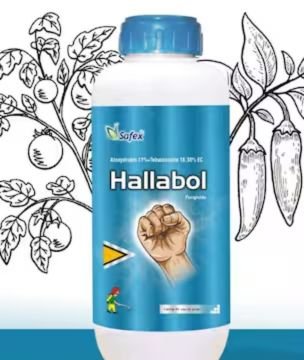 Hallabol AZOXYSTROBIN