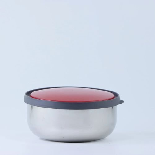 Kiaraa Stainless Steel Kiwi Bowl Dibbi Set with colourful LId
