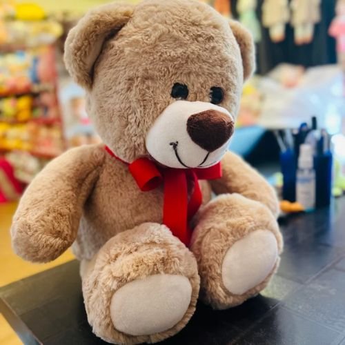 Gus Bear Soft Toy