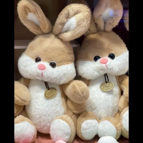 Bunny Soft Toy