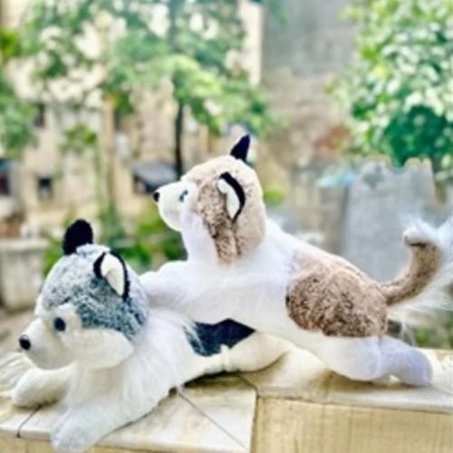 Husky Dog Soft Toy
