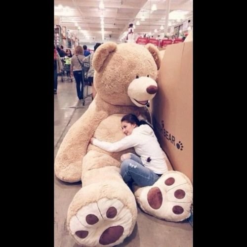 Teddy Bear Big Size