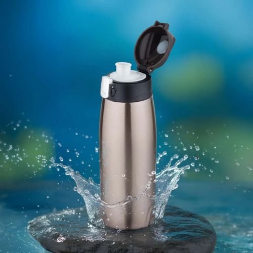 Frozen Vacuum Bottle