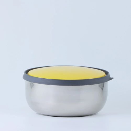 Kiaraa Stainless Steel Kiwi Bowl Dibbi Set with colourful LId