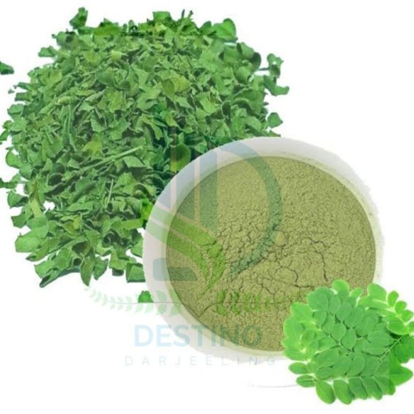 Blended 500gm Moringa Powder, Color : Green, Grade : Superior