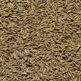 Brown Cumin Seeds