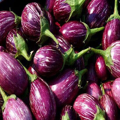 A Grade Fresh Brinjal