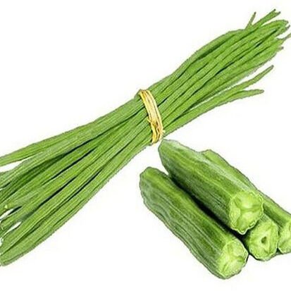 A Grade Fresh Drumstick