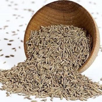 Singapore cumin seeds