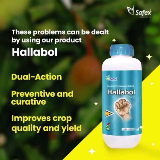 Hallabol AZOXYSTROBIN