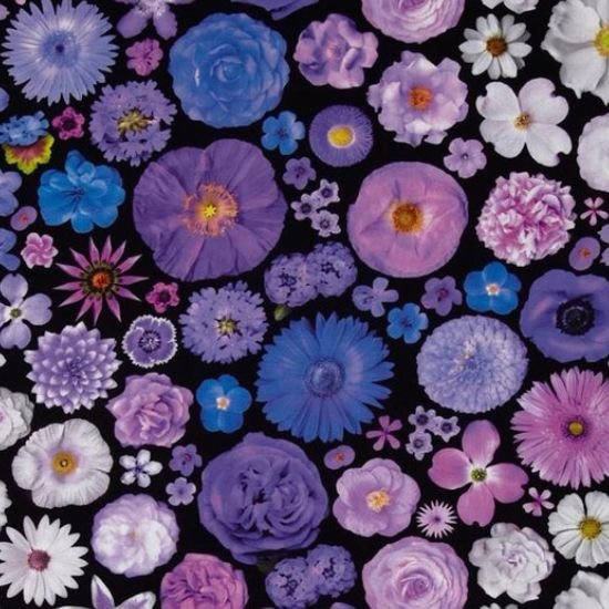 Digital Prints Fabric