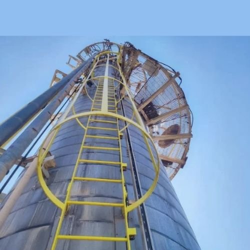 Ms & Gi monkey ladders