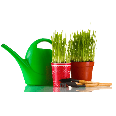 Agricultural Chemicals