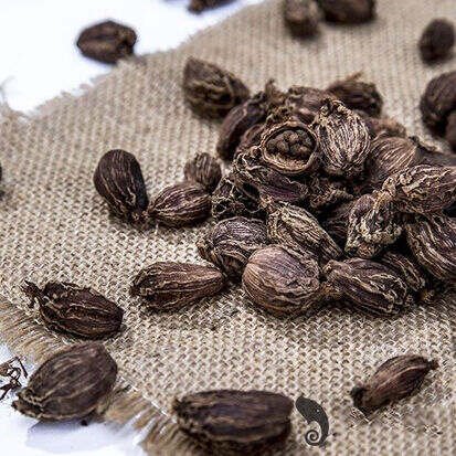 Black Cardamom Seeds