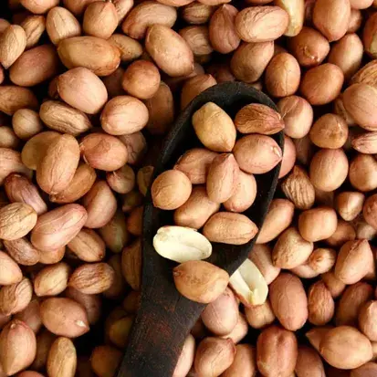 Groundnut
