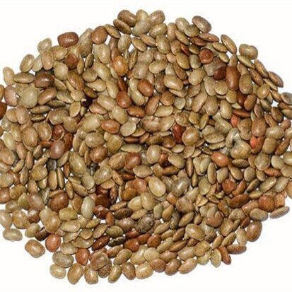 Horse Gram