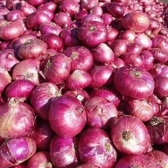 A Grade Fresh Onion
