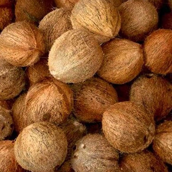 Semi husked coconuts